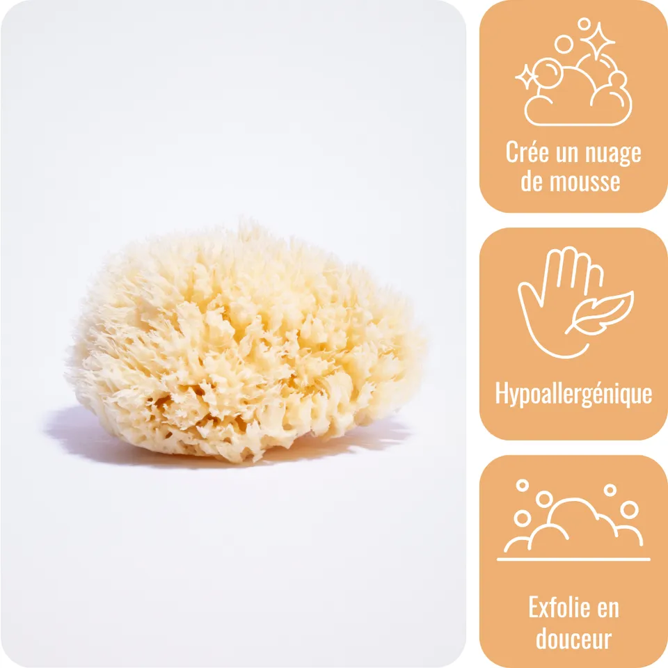a-va-barber-ponge-de-mer-naturelle-11-cm-douche-z-ro-plastique image 1