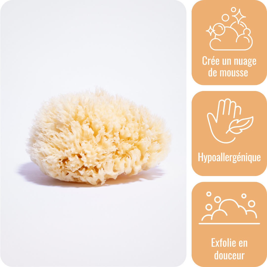 a-va-barber-ponge-de-mer-naturelle-11-cm-douche-z-ro-plastique image 1